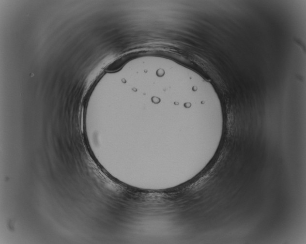X0000103271180200809261155