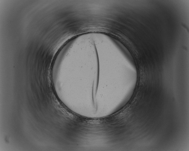 X0000103271182200809261155