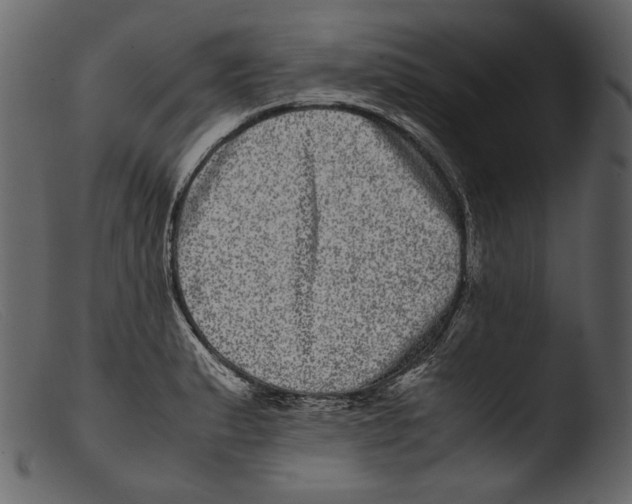 X0000103271183200809261155