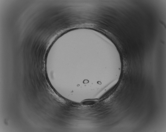 X0000103271184200809261155