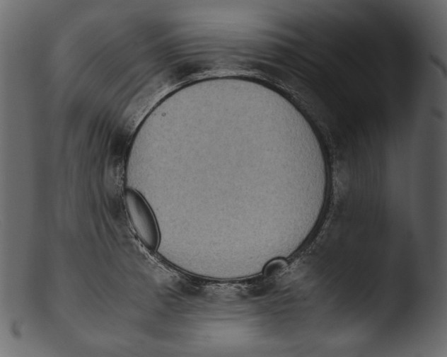 X0000103271185200809261155