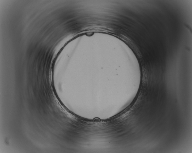 X0000103271188200809261155
