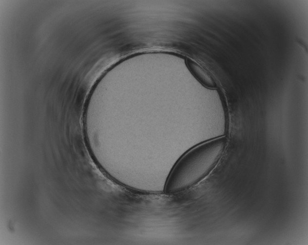 X0000103271189200809261155