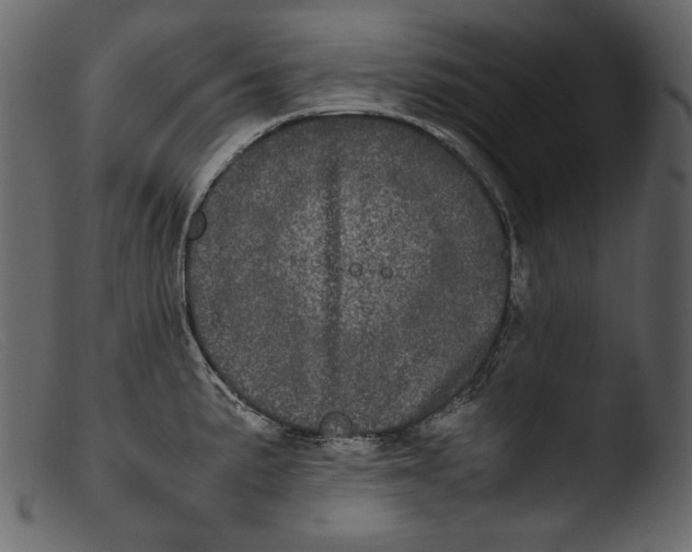 X0000103271191200809261155