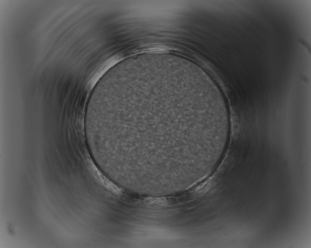 X0000103271194200809261155