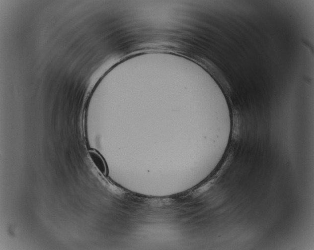 X0000103271196200809261155