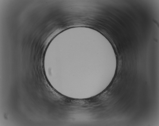 X0000103271197200809261155