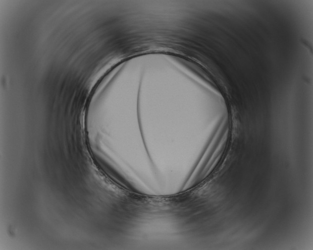X0000103271198200809261155