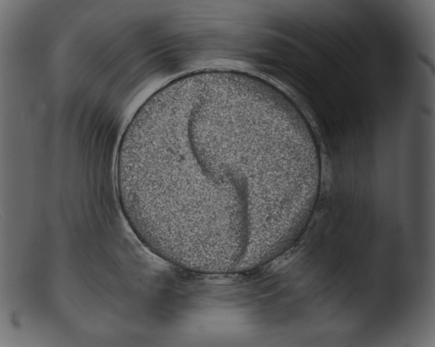 X0000103271199200809261155
