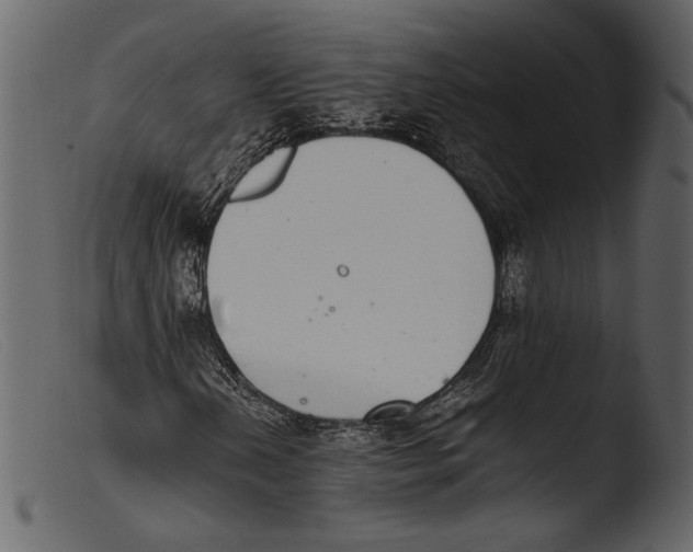 X0000103271202200809261154