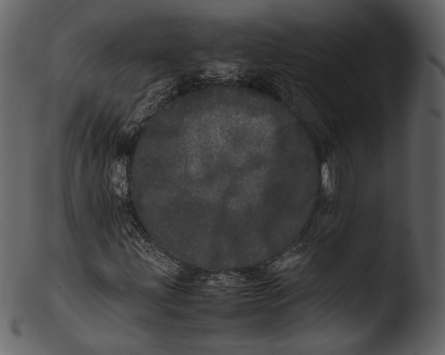 X0000103271203200809261154