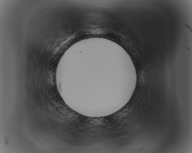 X0000103271205200809261154