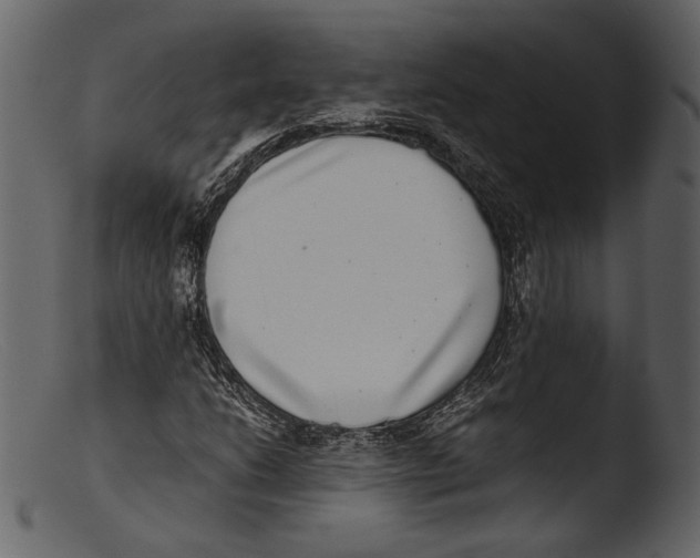 X0000103271206200809261154
