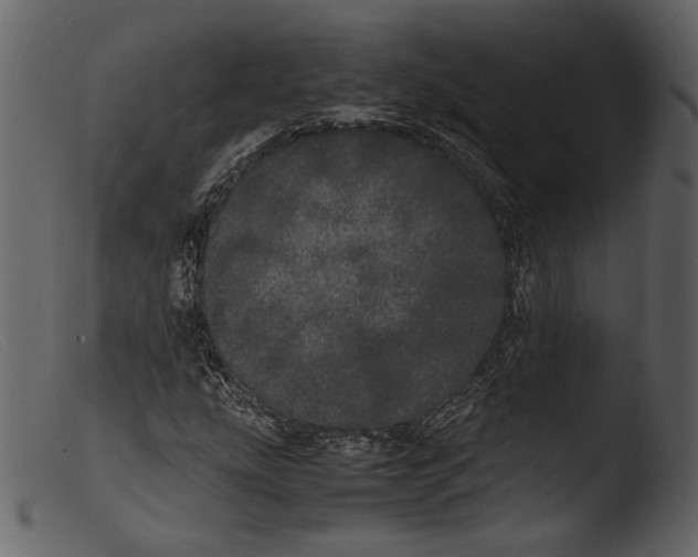 X0000103271207200809261154