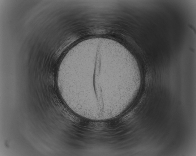 X0000103271209200809261154