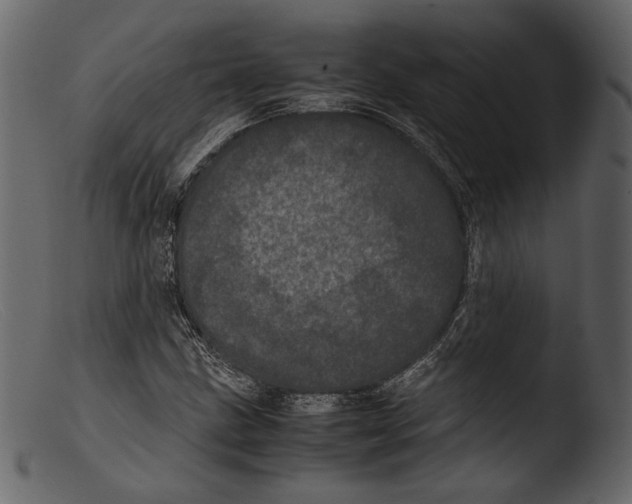 X0000103271211200809261154
