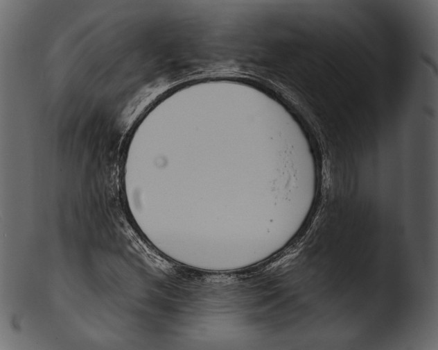 X0000103271212200809261154