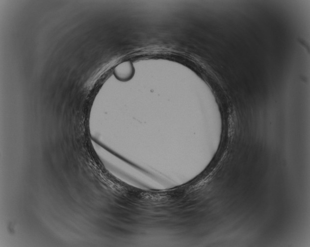 X0000103271213200809261154