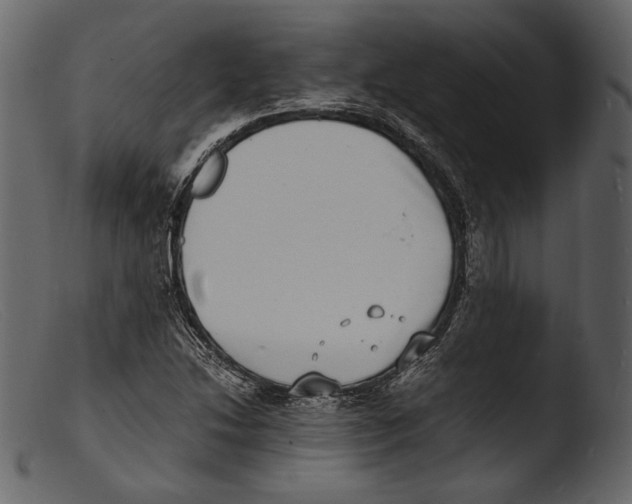 X0000103271214200809261154