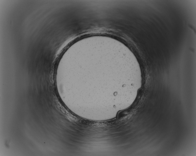 X0000103271216200809261154