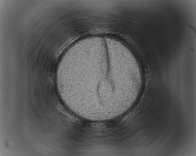 X0000103271217200809261154