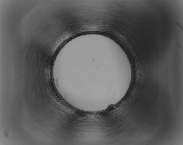 X0000103271218200809261154