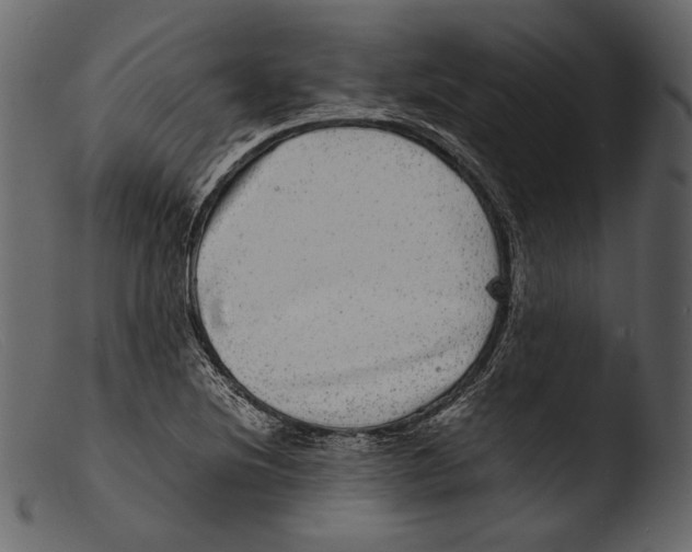 X0000103271220200809261154