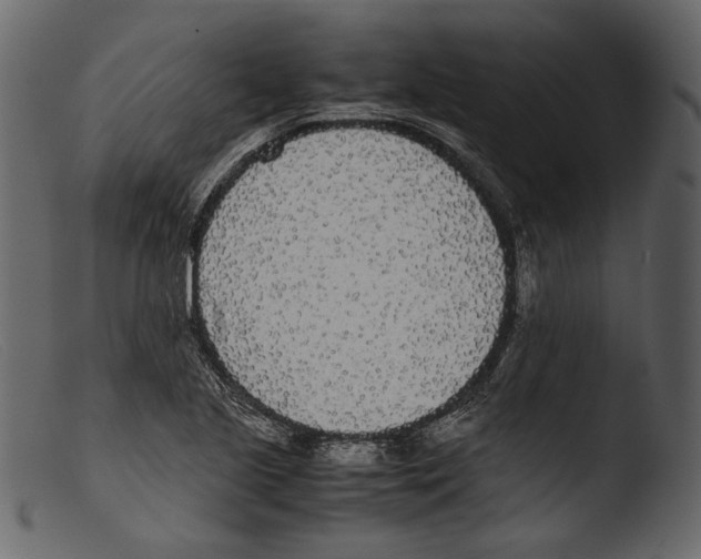 X0000103271221200809261154
