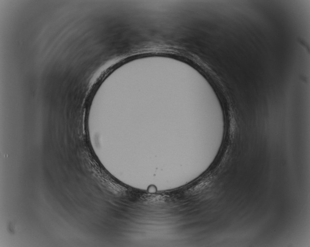 X0000103271222200809261154