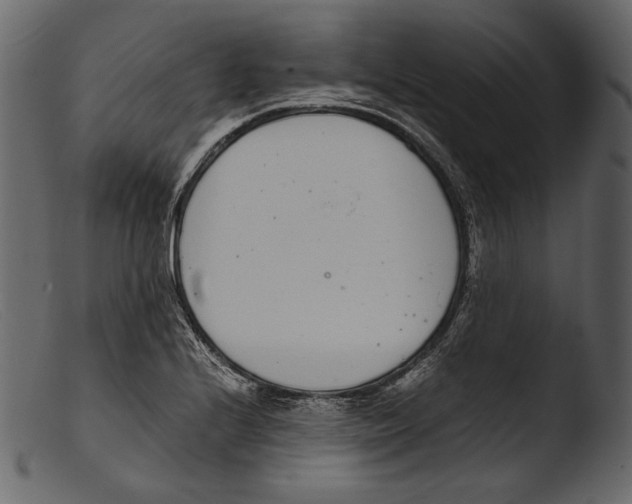 X0000103271224200809261154