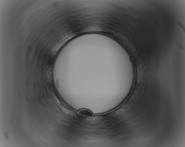 X0000103271225200809261154