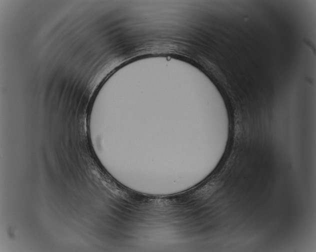 X0000103271226200809261154