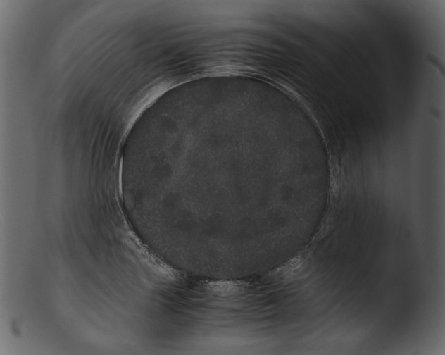 X0000103271227200809261154