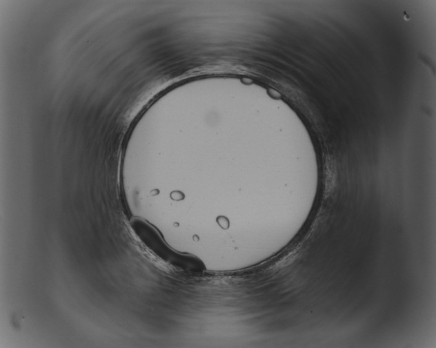 X0000103271228200809261154