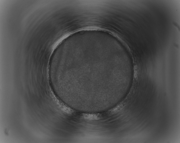 X0000103271229200809261154