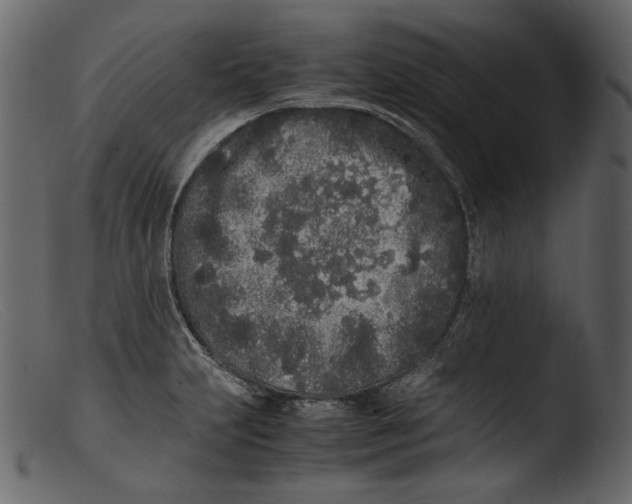 X0000103271231200809261155
