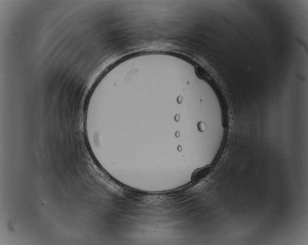 X0000103271232200809261155