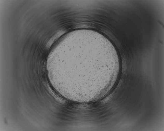 X0000103271233200809261155