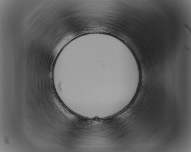 X0000103271234200809261155
