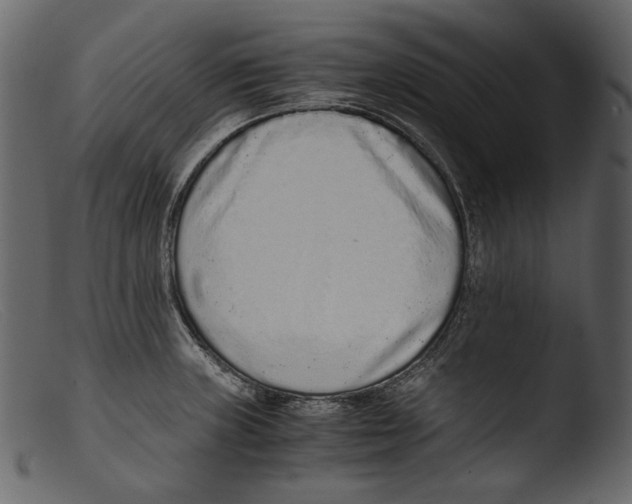X0000103271235200809261155