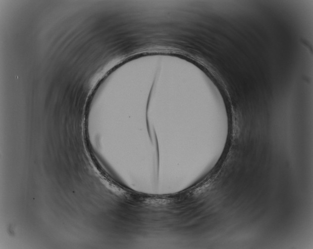 X0000103271237200809261155