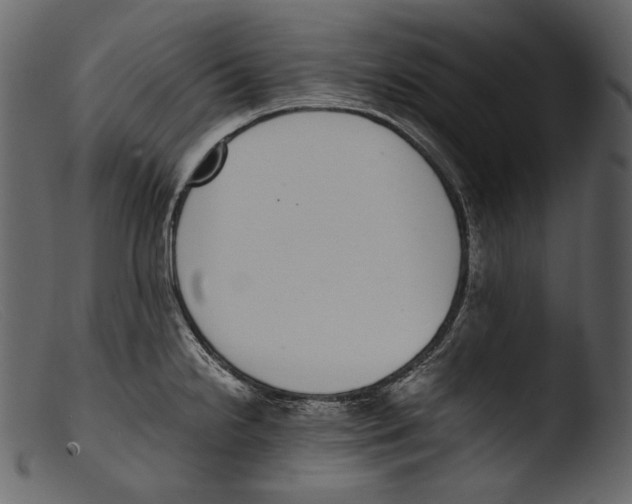 X0000103271238200809261155