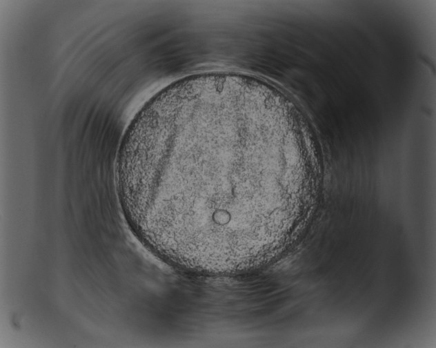 X0000103271239200809261155