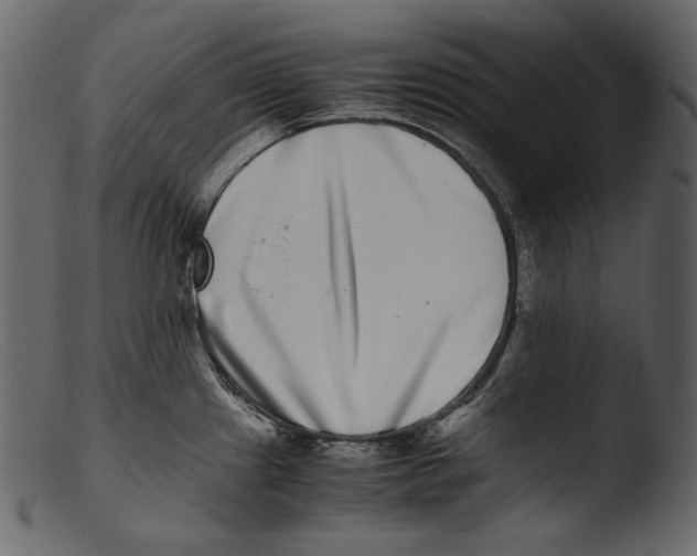 X0000103271241200809261155