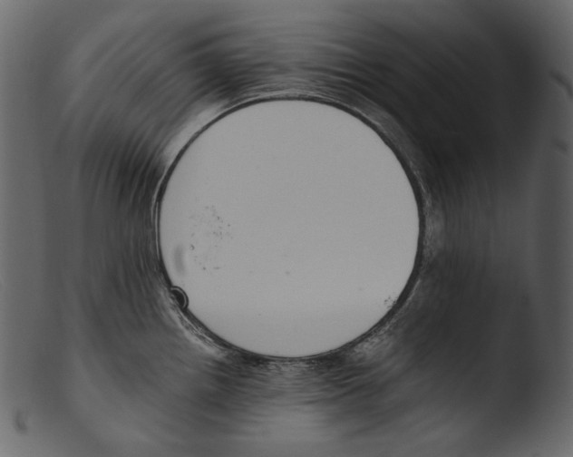 X0000103271242200809261155