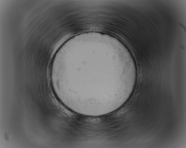X0000103271243200809261155
