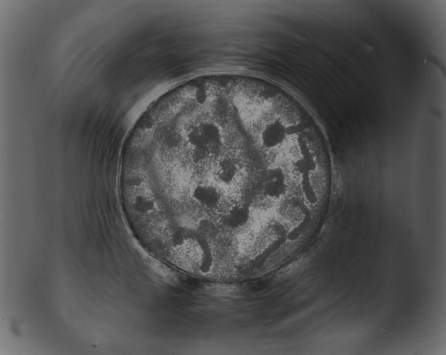 X0000103271245200809261155