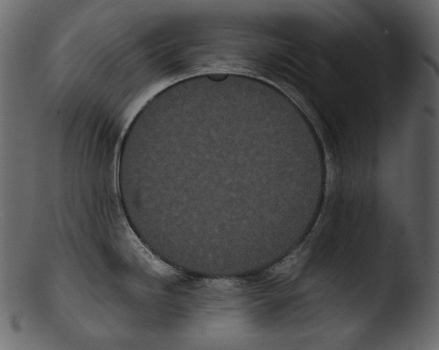 X0000103271246200809261155
