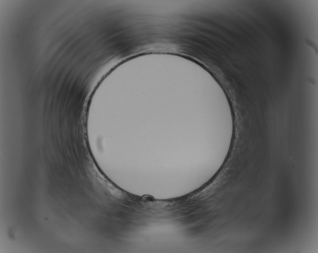 X0000103271248200809261155