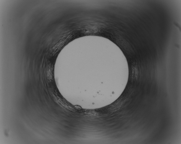 X0000103271250200809261154